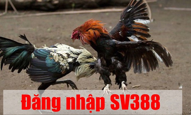 Đăng nhập tại Sv388 không thành công do đâu?