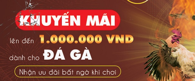 Khuyến mãi tổ chức đều đặn