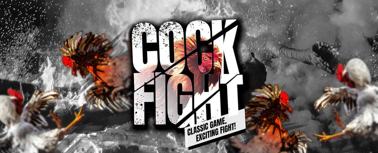 The Rise Of SV388: Understanding Sabung Ayam And Online Cockfighting