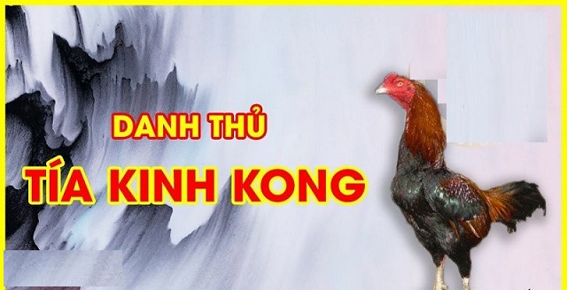 Chiến tích của Tía King Kong